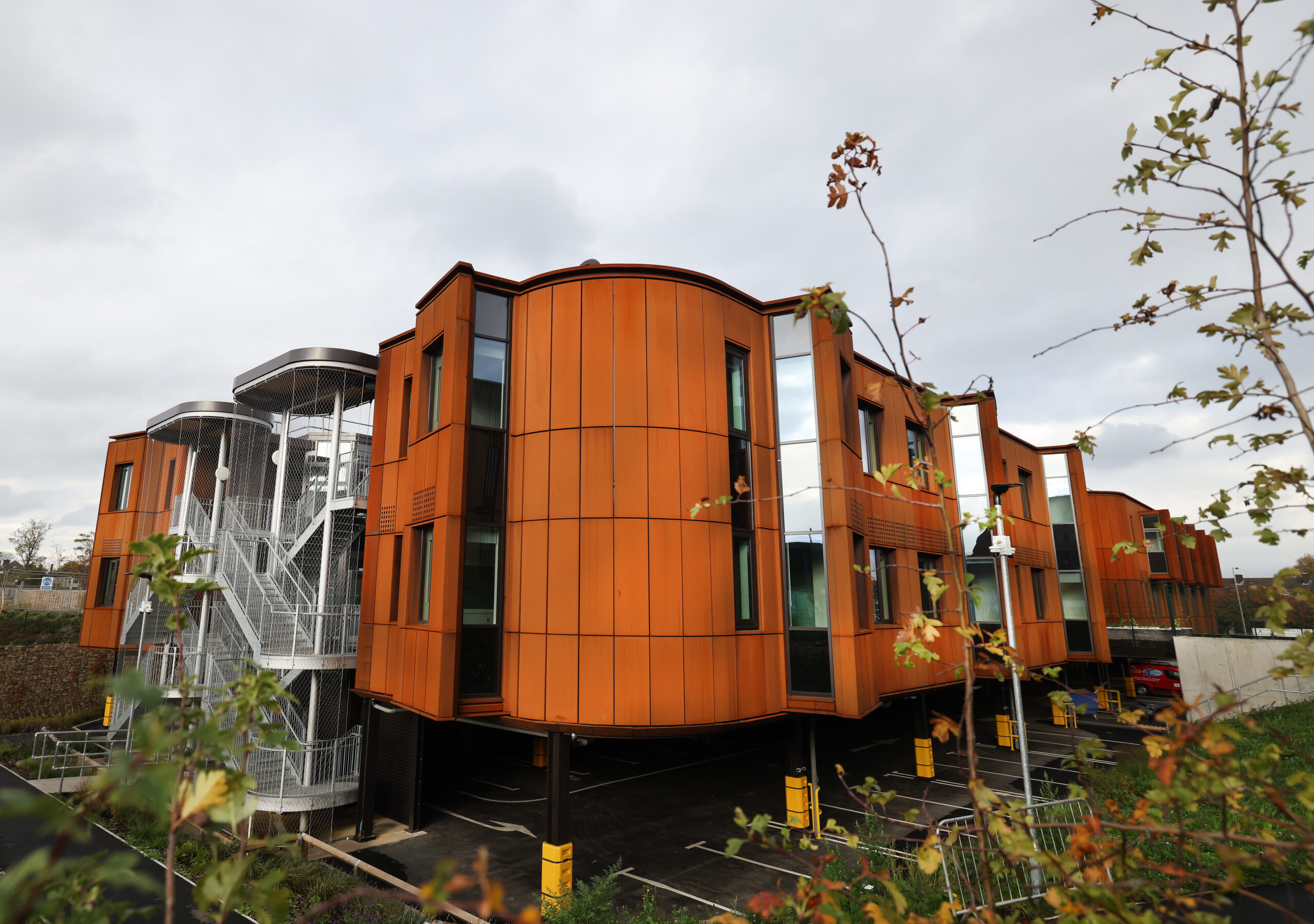 Catkin and Sunflower House building