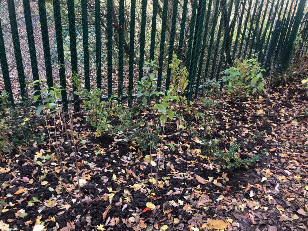 Barrier to reduce Anti Social Behaviour in Springfield Park