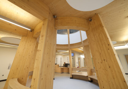 Atrium of Catkin and Sunflower House