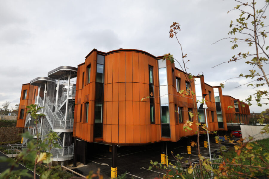 Catkin and Sunflower House building